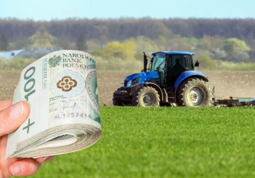 Płatność dla małych gospodarstw. Tyle wyniesie dopłata w 2026 roku