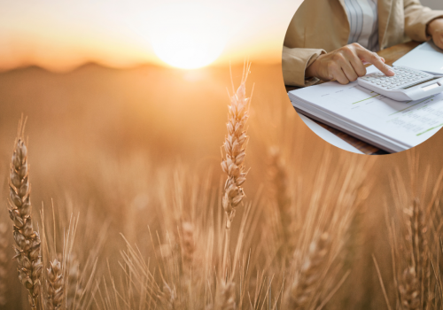 Rolnicy tracą, koszty rosną. Minister odpowiada: będą strategie