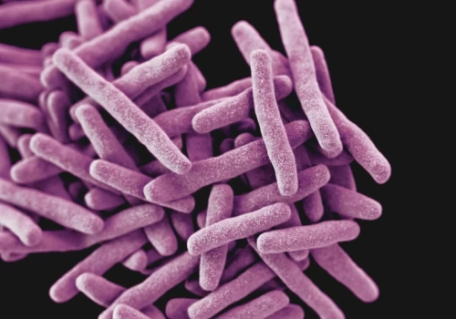 „To nie tylko choroba płuc, ale też choroba godności”. Eksperci: Ryzyko zachorowania w Polsce może rosnąć