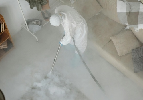 Dezynsekcja w Katowicach — praktyczny poradnik dla mieszkańców