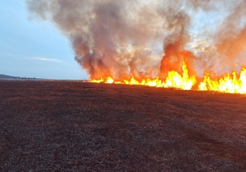 Pożar trzcinowiska oraz samochodu ciężarowego