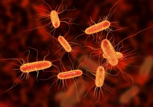 Nawet 10 mln zgonów w ciągu roku. WHO: Skuteczność leków coraz bardziej ograniczona