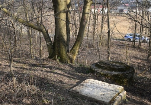 Chłopcy bawili się na dzikich łąkach. Nagle jeden z nich zniknął