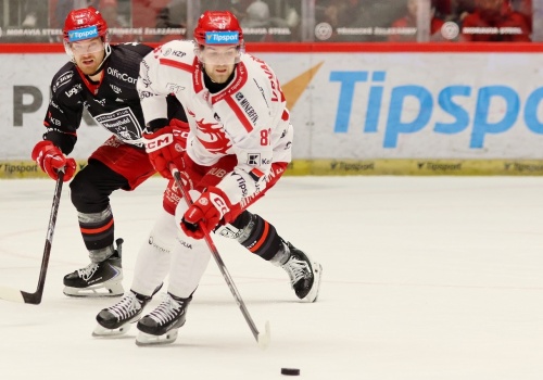 Tym razem bez happy endu. Oceláři – Mountfield 2:3 | ZDJĘCIA