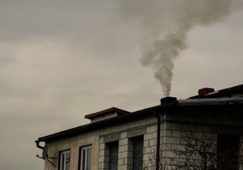 Kopciuchy rozkwitły na wiosnę. Polskie miasto zakałą Europy