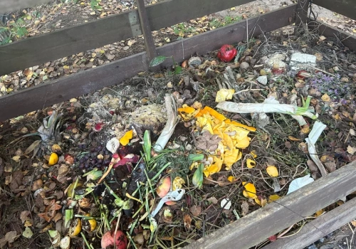 Wiosną rozdziel kompost na trzy warstwy. Jedna z nich jest bezcenna