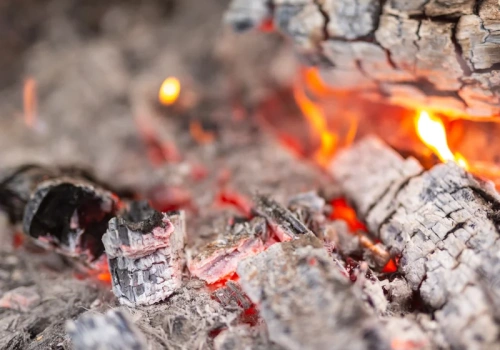 Wsyp garść do ziemi. Ten „odpad” przyspiesza wzrost roślin