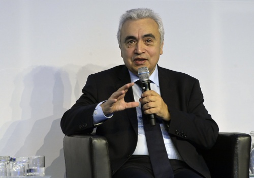 Szef MAE: bez rezygnacji Niemiec z atomu kryzys byłby łagodniejszy