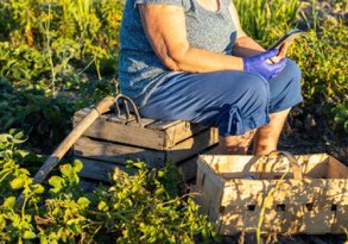 Tu płacą 10 tys. zł. Wieś szuka pracowników sezonowych