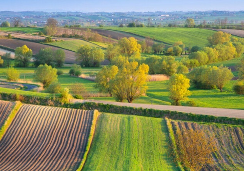 Wspólna Polityka Rolna 2023–2027 – ocena śródokresowa