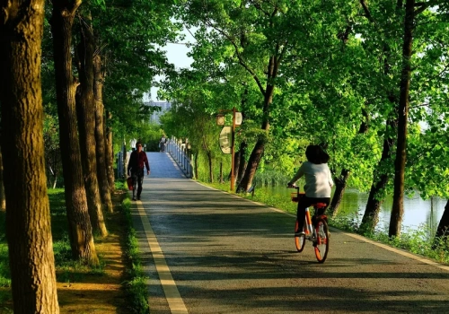 Robienie kroków czy jazda na rowerze? Co lepiej pozwala zrzucić kilogramy?