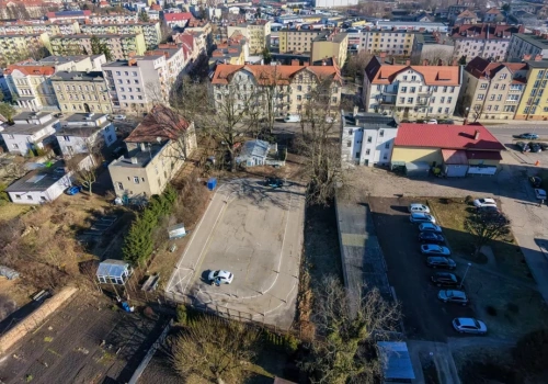 Pomnik przyrody czy własność prywatna? Komisja wstrzymuje się z decyzją