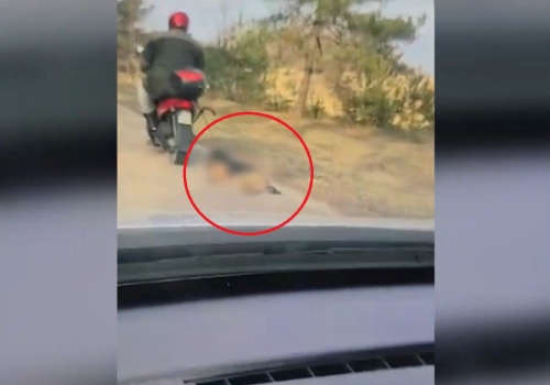 Powiat mrągowski. 72-latek ciągnął psa na sznurku za motorowerem. Nagranie szokuje