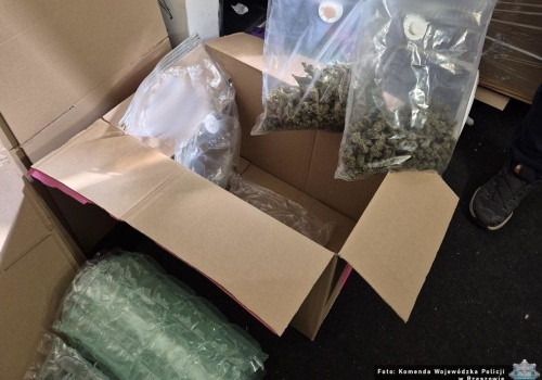Narkotykowy szlak z Czech rozbity. Są aresztowania!