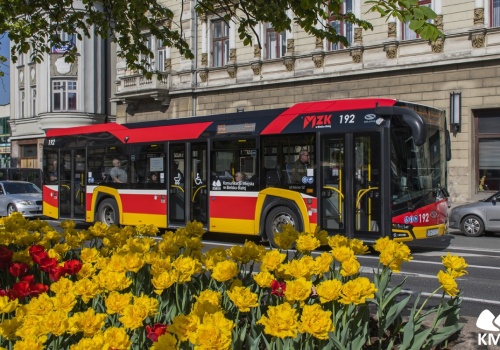 Komunikacja miejska przypomina: czas odnowić uprawnienia do „BBbiletu”