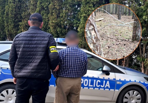 Kłusownik z Wolborza zatrzymany. 76-latek rozkładał w lesie stalowe wnyki