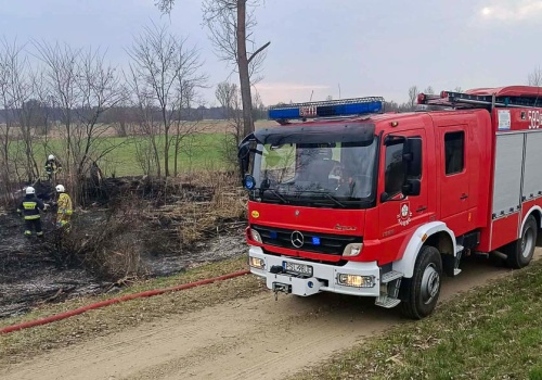 Pięć zastępów straży gasiło pożar trawy