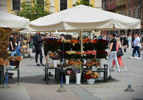 Krakowskie kwiaciarki z Rynku Głównego –  tradycja czy przetarg. Co dalej?