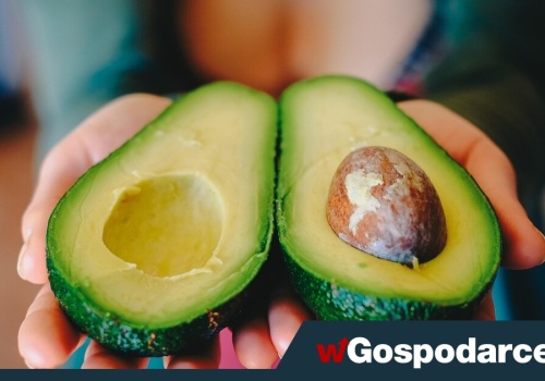 Po czym poznasz dobre awokado?