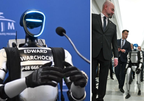 132 centymetry wzrostu, sporo pewności siebie i jeszcze więcej luzu. W Sejmie pojawił się ROBOT humanoidalny!