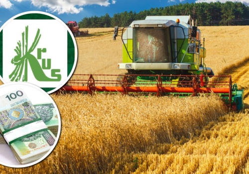 Tyle wynosi najwyższa emerytura rolnicza w Polsce. Kwota po 41 latach pracy zaskakuje!