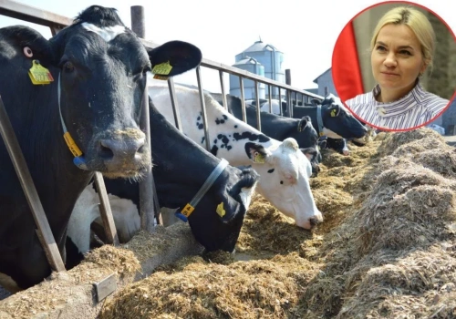 Ceny mleka: różnice sięgają nawet 2 zł/l. Rolnicy chcą wyjaśnień