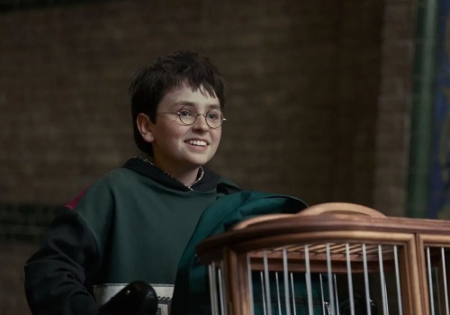 Harry Potter powraca. Jest pierwszy teaser budzącego kontrowersje serialu
