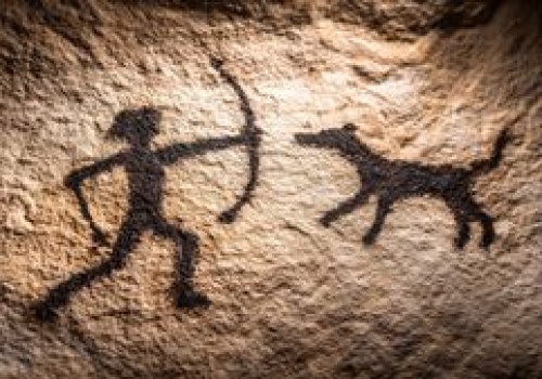 Najstarsze DNA psa znalezione w Turcji. Nowe dane zmieniają historię