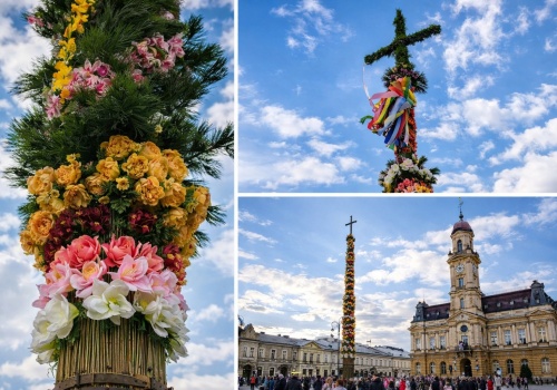 Gigantyczna palma stanęła w sercu Nowego Sącza. Ma prawie 30 metrów i robi ogromne wrażenie
