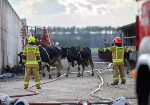 Dramat po pożarze. Rolnicy walczą o odbudowę gospodarstwa