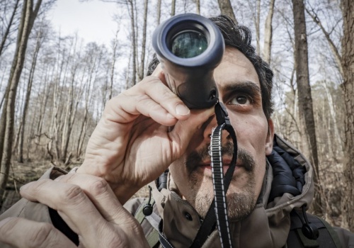 Francuz uratował poznańskie żaby. Wstrzymano budowę drogi