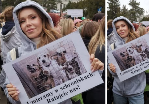 Ten protest coś zmieni? Doda się nie poddaje: Musimy uczyć ludzi odpowiedzialności!