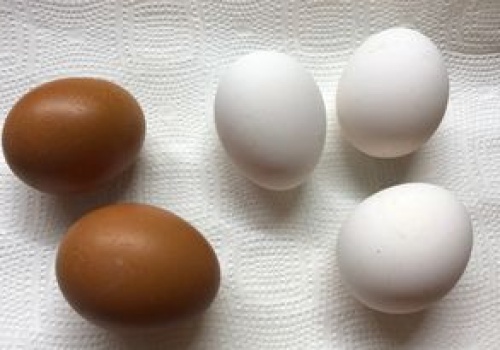 Tak gotuje jajka przed farbowaniem. Już po 10 minutach są śnieżnobiałe