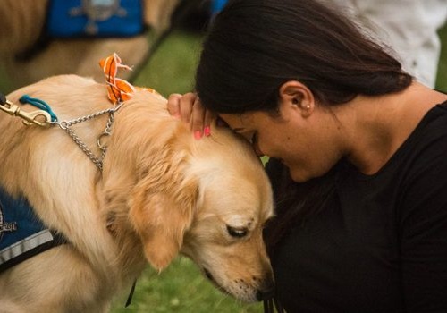 Badania dowodzą, że psy towarzyszą człowiekowi od 16 tys. lat