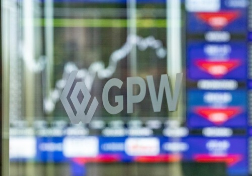 Toya zwiększyła zyski, ale sprzedaż w kanale e-commerce poszła w dół