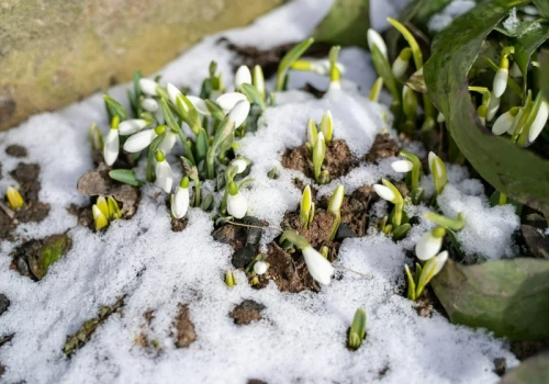 Cyklon uderzy w Polskę w Wielkanoc? Meteorolodzy o dwóch scenariuszach
