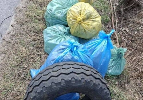 Grabostów świeci przykładem. Mieszkańcy wspólnie posprzątali las i pobocza