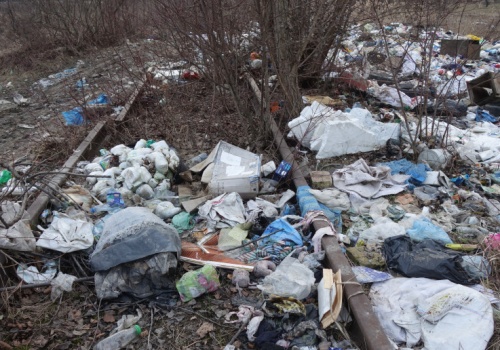 3000 zł mandatu i nakaz sprzątania. Skuteczna metoda na śmieci