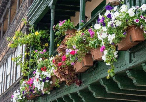 Kwiaty, które możesz posadzić już w kwietniu. Niektóre zaskoczą odpornością na mróz