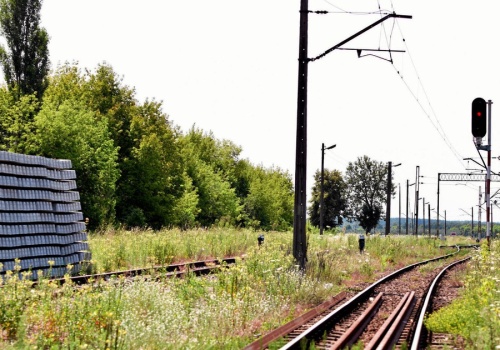 Liberałowie wstydzą się za wyborców PiS, wyborcy PiS — za liberałów. Oto polaryzacja po polsku