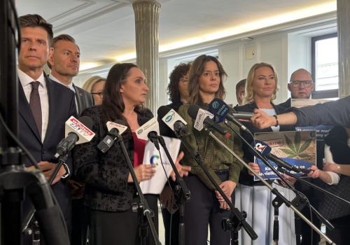 Politycy chcą złagodzić prawo. Do 15 gramów marihuany i jeden krzak bez kary