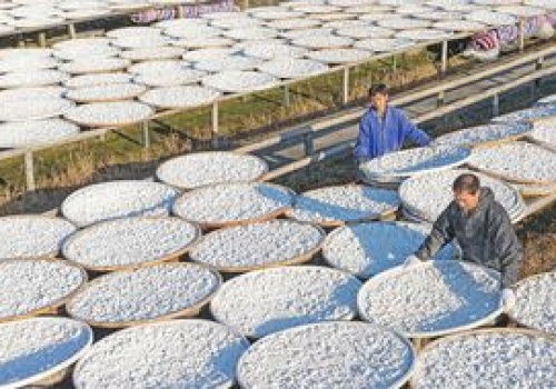 Ta branża najbardziej ucierpi na wojnie w Iranie. Jest raport