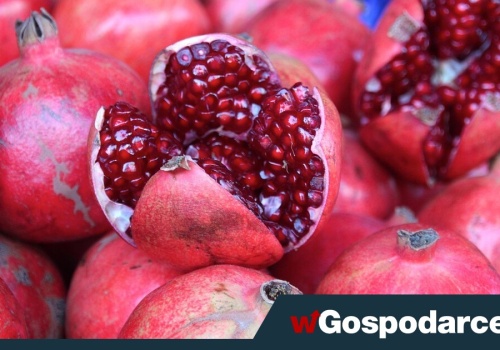 Granat - z wyglądu jak cukierki, a to bomba odżywcza