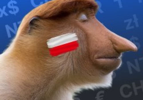 Steam w końcu zaktualizował kursy walut! To szansa na to, że gry będą tańsze, ale jest mały haczyk