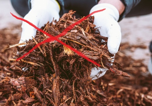 Zapomnij o korze i żwirze. Rośliny przejmują ich funkcję i wyglądają o niebo lepiej