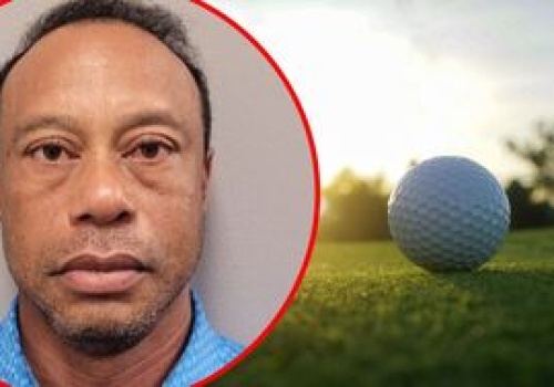 Tiger Woods zatrzymany. Policja publikuje słynne 