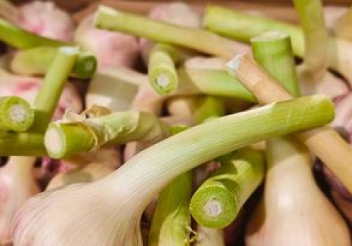 Pojawił się w sklepach. Ma słodszy smak i poprawia odporność