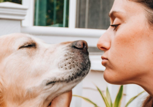 8 znaków, że twój pies naprawdę cię kocha. Nie robią tak każdemu opiekunowi