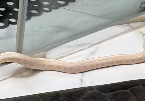 Czas na quiz. Co się działo w marcu?