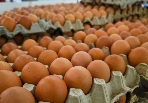 Sklepy wycofują popularne jajka. Zmieni się los milionów kur